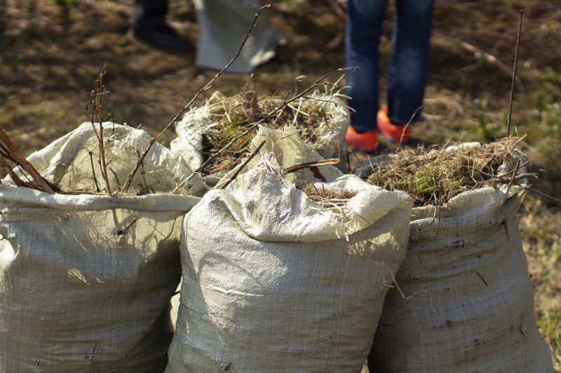 Debris Removal Service