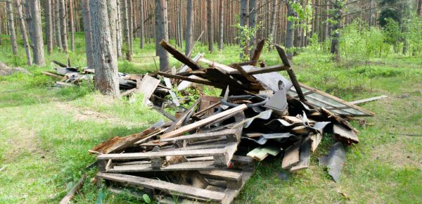 Debris Removal Service in Dacula