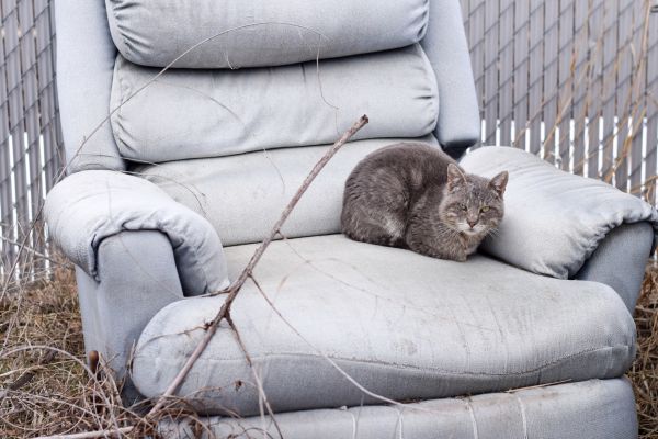 Recliner Disposal in Dacula